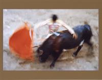 Bull Fighter