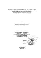 Pre-implant Brain Activation Modeling to Drive Placement of Depth Leads in White Matter for Direct Neurostimulation Therapy in Epilepsy