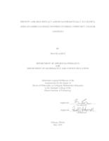 Identity and Self-Efficacy Among Mathematically Successful African American Single Mothers in Urban Community College Contexts