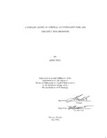 A Dynamic Model of Central Counterparty Risk and Liquidity Risk Measures