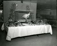 Decorative Thanksgiving table setting with taxidermied turkey, Illinois Institute of Technology, ca. 1970s