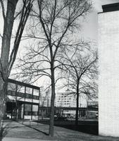 Illinois Institute of Technology campus, Chicago, Illinois, ca. 1953-1959