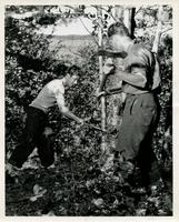 Civil Engineering students at Camp Armour, Vilas County, Wisconsin, ca. 1942-1952