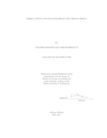 ENERGY INNOVATIONS IN BUILDINGS AND URBAN FABRICS 