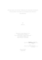 Dynamic Risk and Dynamic Performance Measures Generated by Distortion Functions and Diversification Benefits Optimization