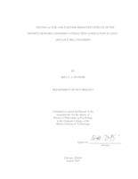 Testing actor and partner mediation effects of the mindfulness-relationship satisfaction association in long-distance relationships