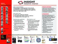 Insight:  Anticipating the Future, Assessing the Impact (semester?), IPRO 341: Insight IPRO 341 Poster Sp06