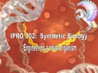 Synthetic Biology:  Engineering a Novel Organism (semester?), IPRO 302: Synthetic Biology IPRO 302 IPRO Day Presentation Sp06