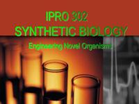 Synthetic Biology:  Engineering a Novel Organism (semester?), IPRO 302: Synthetic biology Engineering Novel Organisms IPRO 302 IPRO Day Presentation F05