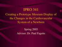 Develping a Prototype Display for the Prenatal-to-Newborn Blood Flow System (semester?), IPRO 341: Cardiovascular display for Pre and Post Natal IPRO 341 IPRO Day Presentation Sp05