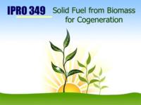 Solid Fuel from Biomass for Cogeneration (Semester Unknown) IPRO 349: SolidFuelFromBiomassForCogenerationIPRO349FinalPresentationSp09