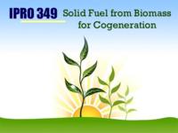 Solid Fuel from Biomass for Cogeneration (Semester Unknown) IPRO 349: SolidFuelFromBiomassForCogenerationIPRO349MidTermPresentationSp09