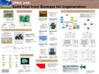 Solid Fuel from Biomass for Cogeneration (Semester Unknown) IPRO 349: SolidFuelFromBiomassForCogenerationIPRO349Poster2Sp09