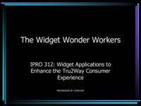 The Widget Wonder Workers (Semester Unknown) IPRO 312: TheWidgetWonderWorkersIPRO312MidTermPresentationF09