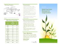 Solid Fuel from Biomass for Cogeneration (Semester Unknown) IPRO 349: Solid Fuel From Biomass For Cogeneration IPRO 349 Brochure1 F08