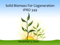 Solid Fuel from Biomass for Cogeneration (Semester Unknown) IPRO 349: Solid Fuel From Biomass For Cogeneration IPRO 349 Final Presentation F08