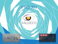 Kalleidos (Spring 2011) IPRO 303: KalleidosIPRO303MidTermPresentationSp11