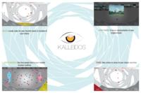 Kalleidos (Spring 2011) IPRO 303: KalleidosIPRO303PosterSp11