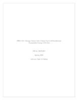 Chicago Sister Cities China: Fuel Cell/Geothermal Sustainable Energy USX Site (Semester Unknown) IPRO 345: Fuel CellGeothermal Sustainable Energy at USX Site IPRO 345 Final Report Sp08