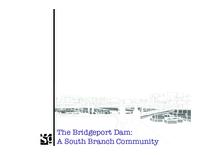 the evolution of the south fork turning basin: Grilli_Preliminary_Research