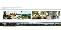 Supportive Urbanism: Tower + Field: 120501 Supportive Urbanism