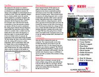 Integration of Process Improvements (Semester Unknown) IPRO 304: IntegrationOfProcessImprovementsIPRO304BrochureSp10