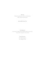 Researching, Designing, Testing, and Evaluating IPRO Program Enhancements (Semester Unknown) IPRO 301: Researching, Designing, Testing, and Evaluating IPRO 301 Project Plan Sp08