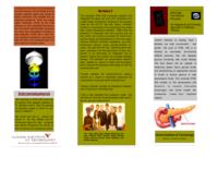 Creating an Artificial Pancreas (Semester Unknown) IPRO 308: Creating an Artificial Pancreas IPRO 308 Brochure Sp08