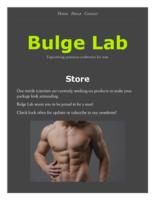 Bulge Lab - Clickable Walkthrough