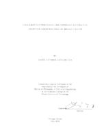 CASE-ADAPTIVE PROCESSING FOR IMPROVING ACCURACY IN COMPUTER-AIDED DIAGNOSIS OF BREAST CANCER