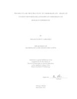 THE IMPACTS AND “BEST PRACTICES” OF UNDERGRADUATE – GRADUATE STUDENT MENTORING RELATIONSHIPS IN UNDERGRADUATE RESEARCH EXPERIENCES