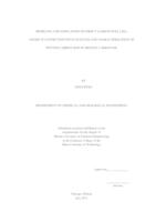 MODELING AND SIMULATION OF DIRECT CARBON FUEL CELL ANODE IN CONNECTION WITH ANALYSIS AND CHARACTERIZATION OF WETTED CARBON ROD IN MOLTEN CARBONATE