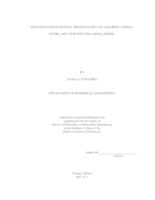 Investigation of Retinal Hemodynamics in a Diabetic Animal Model and VEGF Induced Animal Model