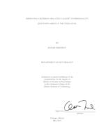 IMPROVING CRITERION-RELATED VALIDITY IN PERSONALITY QUESTIONNAIRES AT THE ITEM LEVEL