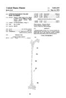 Reinforced Porous Ceramic Bone Prosthesis