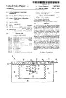 Implantable Drug Delivery Apparatus